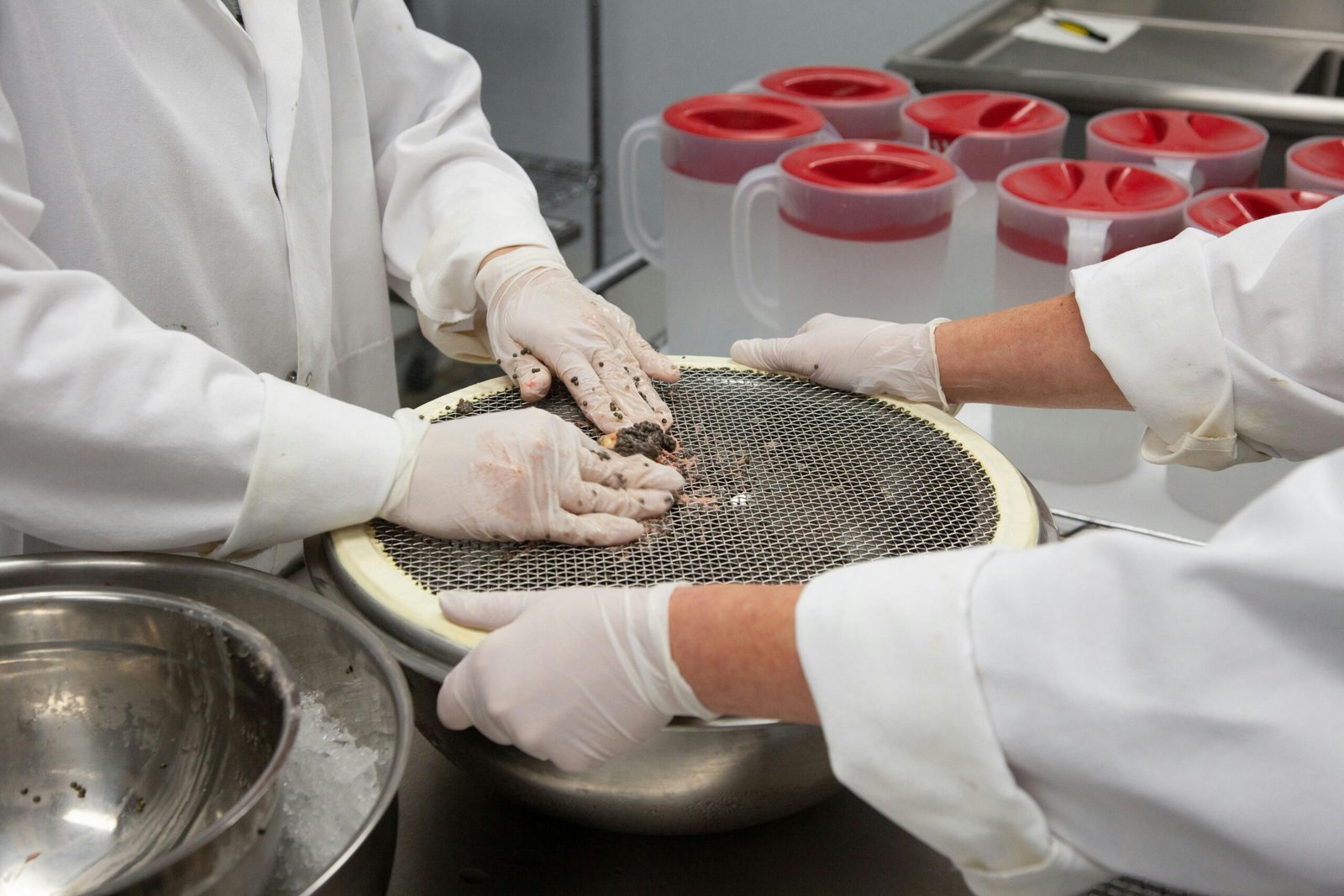 Food safety compliance audit laboratory